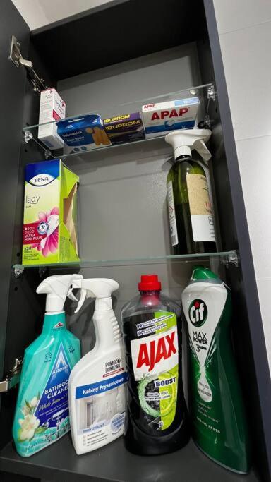 Gajowa Apartament Chorzów Kültér fotó